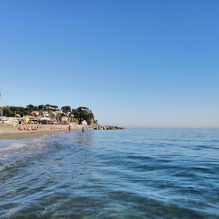 Albergo Blue Fish Albisola Superiore Dış mekan fotoğraf